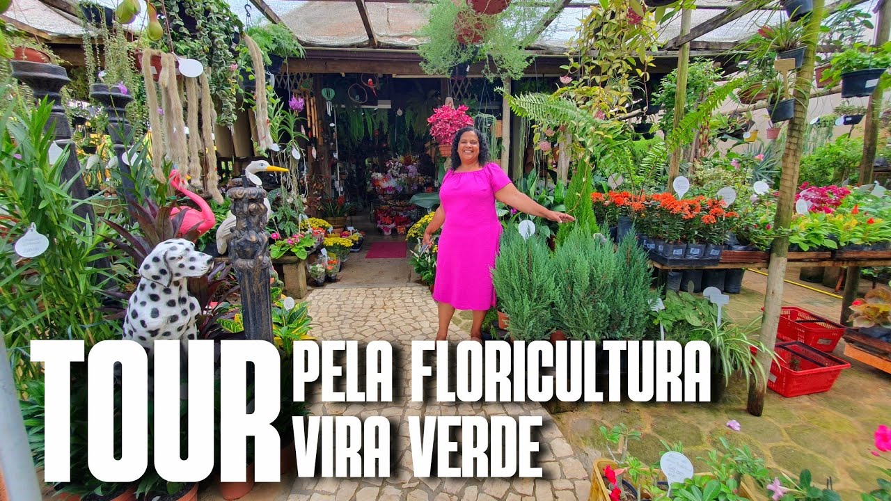 TOUR PELA FLORICULTURA VIRA VERDE: FLORICULTURA EM GURIRI/ES | FLORES, FOLHAGENS E MUITAS PLANTAS