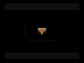 VCI Entertainment 2014