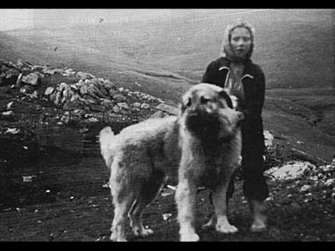 Macedonian Folklore - Neveno mori (Pirinski grivaci)