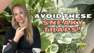 Buy Your First Houseplant Like a Pro! Beginner Traps to Avoid