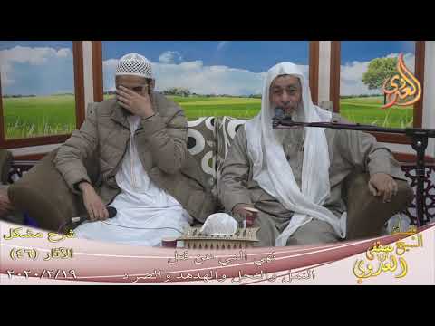  شرح مشكل الآثار (47) ” النهي عن قتل النمل والنحل والهدهد والصرد ”  تاريخ 19-2-2020 