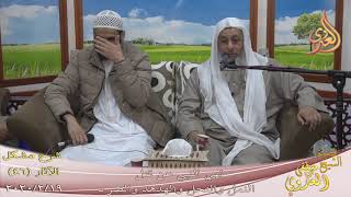 شرح مشكل الآثار (47) ” النهي عن قتل النمل والنحل والهدهد والصرد ”  تاريخ 19-2-2020