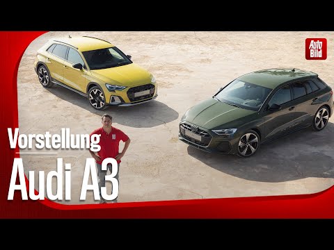 Audi A3 (2024) | Es gibt ihn jetzt als höhergelegten allstreet | Vorstellung mit Dennis Petermann