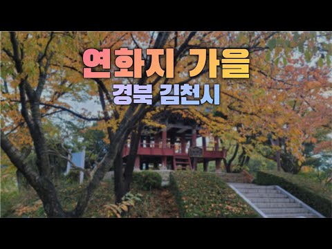 김천 연화지 가을 단풍 구경 봉황대 모습 - 경북 김천시 여행 산책 가볼만한곳 [211101]