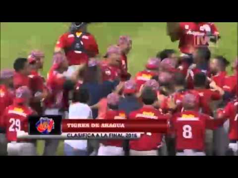 Clasificación de los Tigres de Aragua a la final LVBP 2015-2016
