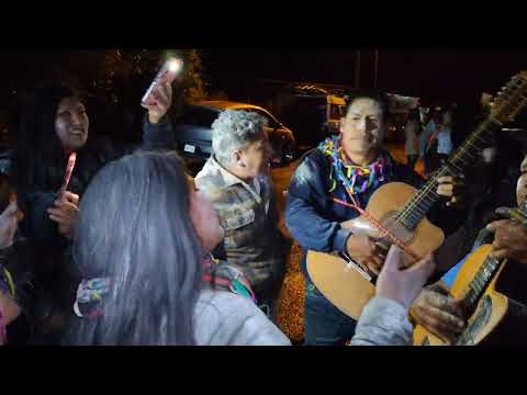 Carnavales san jose 2026 - 2 fajardo