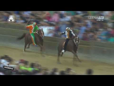 PALIO DI SIENA, VINCE LA CONTRADA DELLA  LUPA 17-08-2024