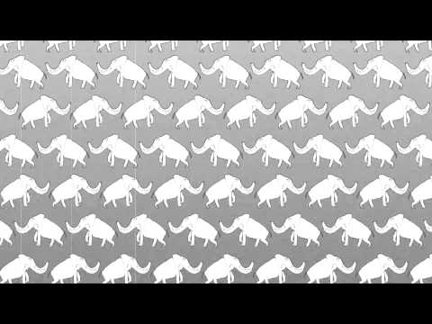 Zemlja gruva! - Zašto praviš slona od sebe?