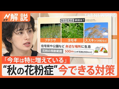 花粉アレルギーに苦しんでいますか？庭に植えてはいけないアレルギーの原因となる植物6選をご紹介します。  庭園