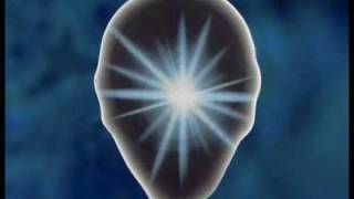 The Primacy of Consciousness