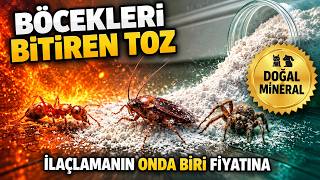 Tahta Kurusu, Pire ve Hamam Böceğine Tek Çözüm | Kimse Anlatmıyor