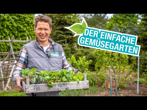 Gemüsegarten anlegen für Anfänger