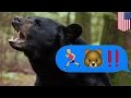 Mauled by bear: Alaskan teen chased down and killed by bear while running mountain race - TomoNews