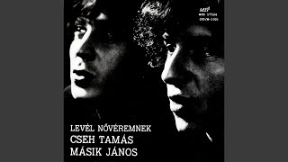 A nyolcadik levélrészlet