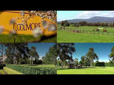 Behind The Gates Series - Shuttle Stallions