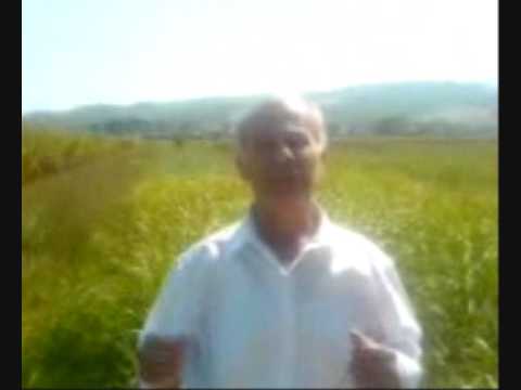 JOVANCE DIMOVSKI-LELE JANO