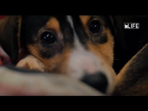 Life is better with friends (16.01.2016)