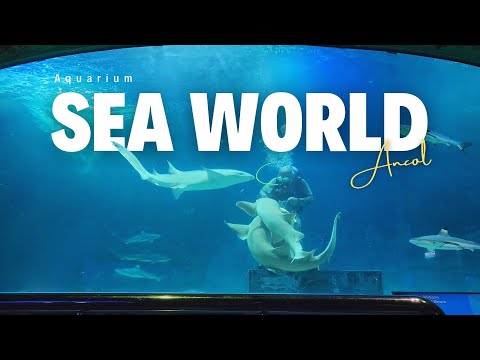 SEA WORLD ANCOL ‼️ REVIEW LENGKAP TERBARU SEA WORLD ANCOL JAKARTA ‼️ WISATA KELUARGA DI JAKARTA