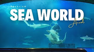 Download lagu SEA WORLD ANCOL ‼️ REVIEW LENGKAP TERBARU SEA WORLD ANCOL JAKARTA ‼️ WISATA KELUARGA DI JAKARTA mp3