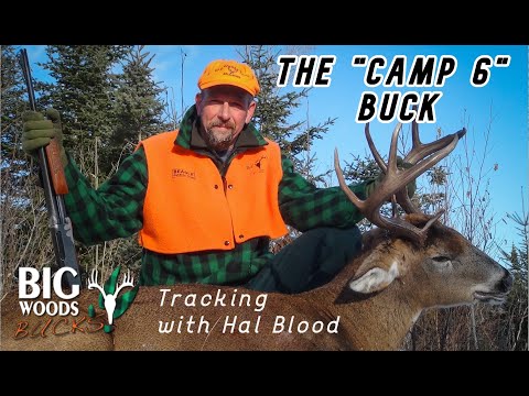 The "Camp 6" Buck | Tracking with Hal Blood