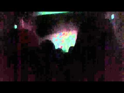 Fly bees live when I was younger