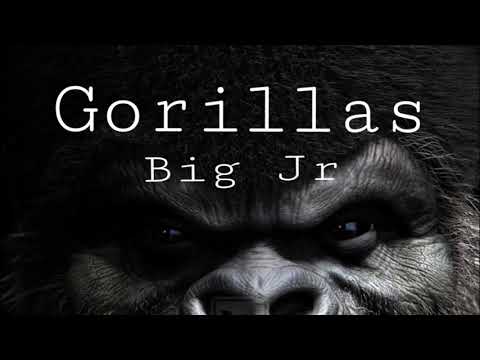 Big Jr - Gorillas