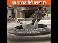 Milk Powder Making Full Process