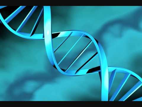 Alix Perez & Zero T - Ladders (cut)