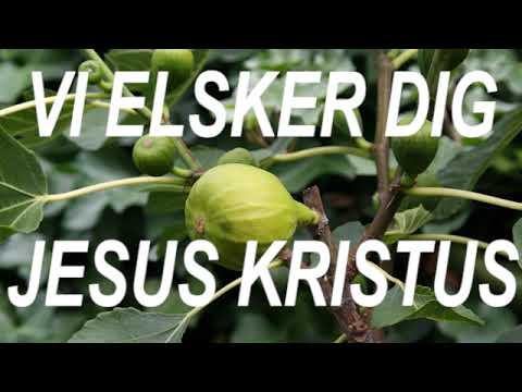 (Joh. 14:8-14) BD 4544 Følg Mig...