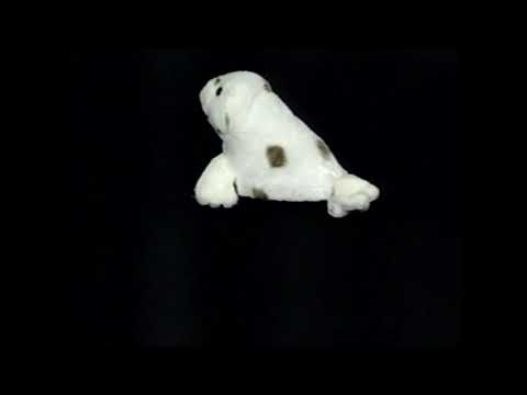 Jordan’s Sound Effects Compilation No.225:Sound Ideas, SEAL - SEAL BARKS, ANIMAL