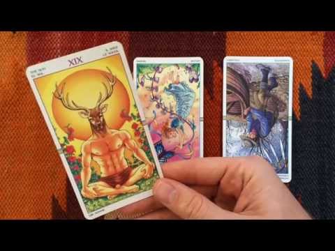 Tarot Numerology Reading 11 November 2014