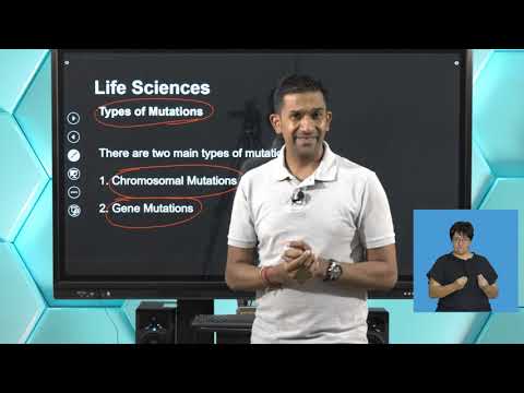 Gr12 Life Sciences  - Mutations and DNA Profiling
