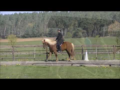 Osterferien auf dem Kronshof