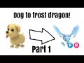 Trading from a dog to a frost dragon!! (Part 1)