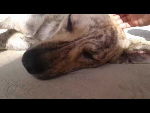 me at mexico 2018 (publish at 2019)