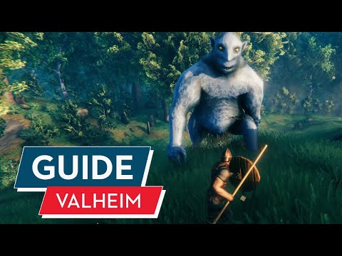 Valheim Beginner's Guide: Tips for new Vikings