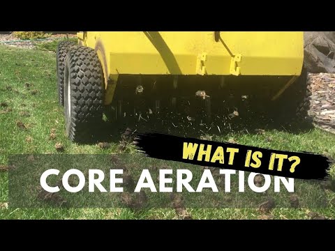 What is lawn core aeration? | Lawn Care