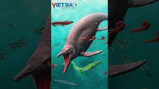 5 loài quái vật khủng khiếp nhất đại dương