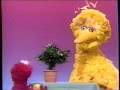Sesame Street Elmo Plays With Gloria
