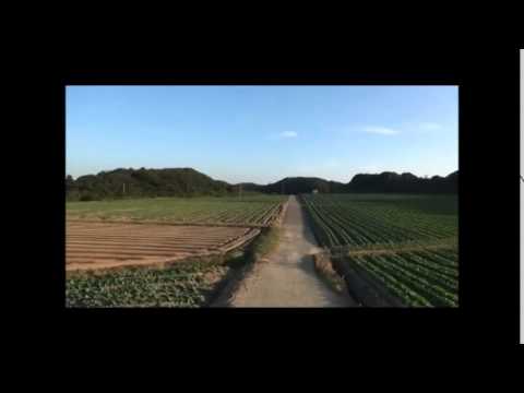 20141109潮風キャベツCM（チーム山口）