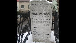 שיטת הפלפול והחילוק – תורתו של 'המאור הגדול' רבי יעקב פולק זצ"ל, 'אשר כל גדולי הארץ הזאת הם תלמידיו'