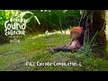 The Sound Collector Full Episode Compilation 4