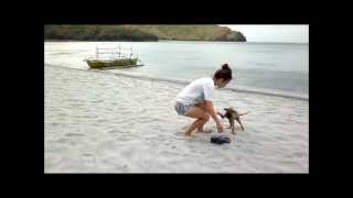 The Boy Least Likely To - Be Gentle With Me