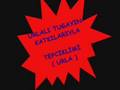 tepeciklimi 