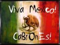 SOCIEDAD ANONIMA - VIVA MEXICO 