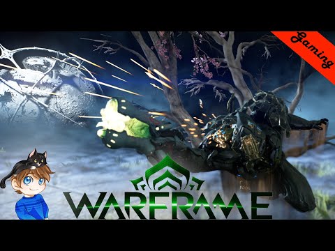 Kuva Brakk Build (Guide) - The Buckshot Wonder | Warframe