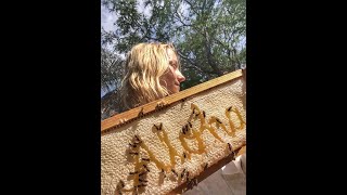 Everything You Need to Know About Foundationless Beekeeping