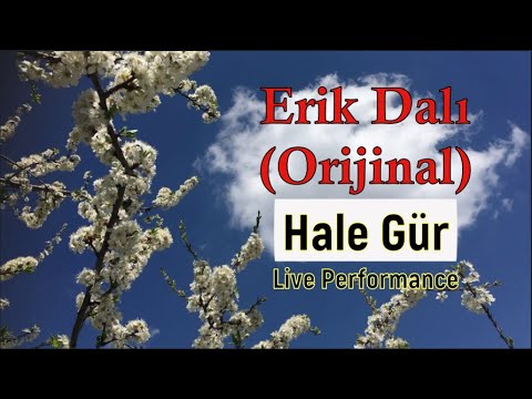 ERİK DALI GEVREKTİR - ORİJİNAL / HALE GÜR  / Voices That Cannot Find a Place in the Media / PART 169