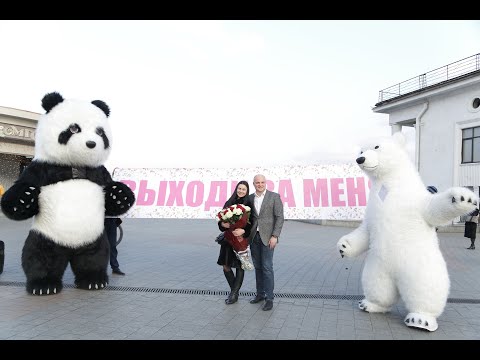 Видео Гигантская панда 1