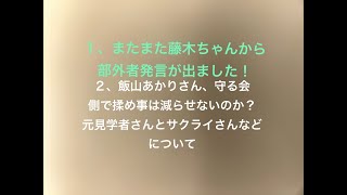 飯山あかりさん、守る会側などで揉めると日本保守党や反飯山さん側が喜びませんか？？